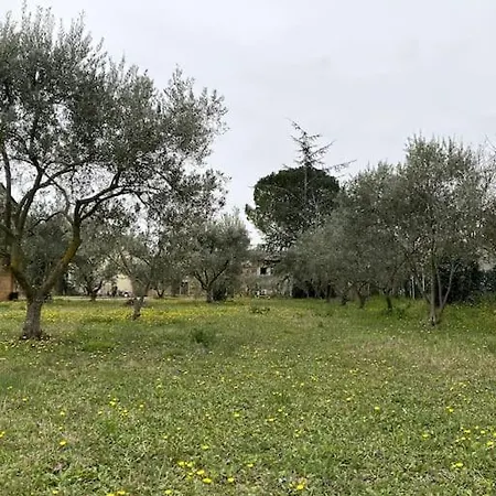 Le Nomade en Provence *